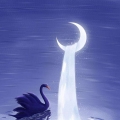 我的相册