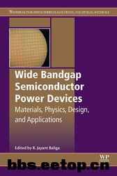 Wide Bandgap Semiconductor Power Devices.jpg