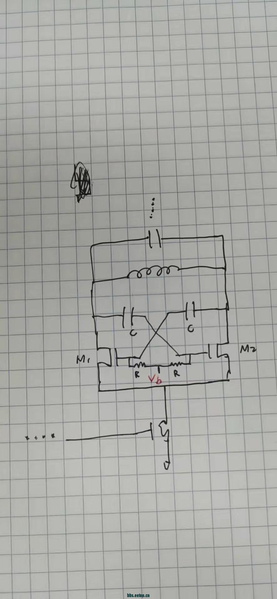 555.jpg