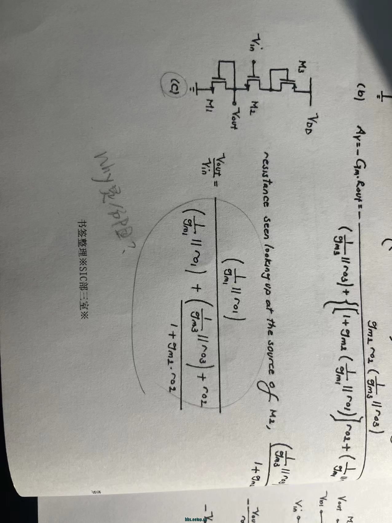 （C）的答案