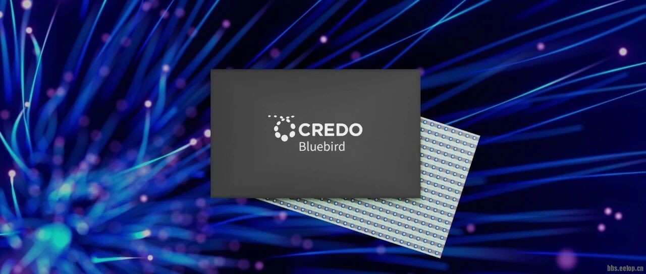 Credo Bluebird.jpg