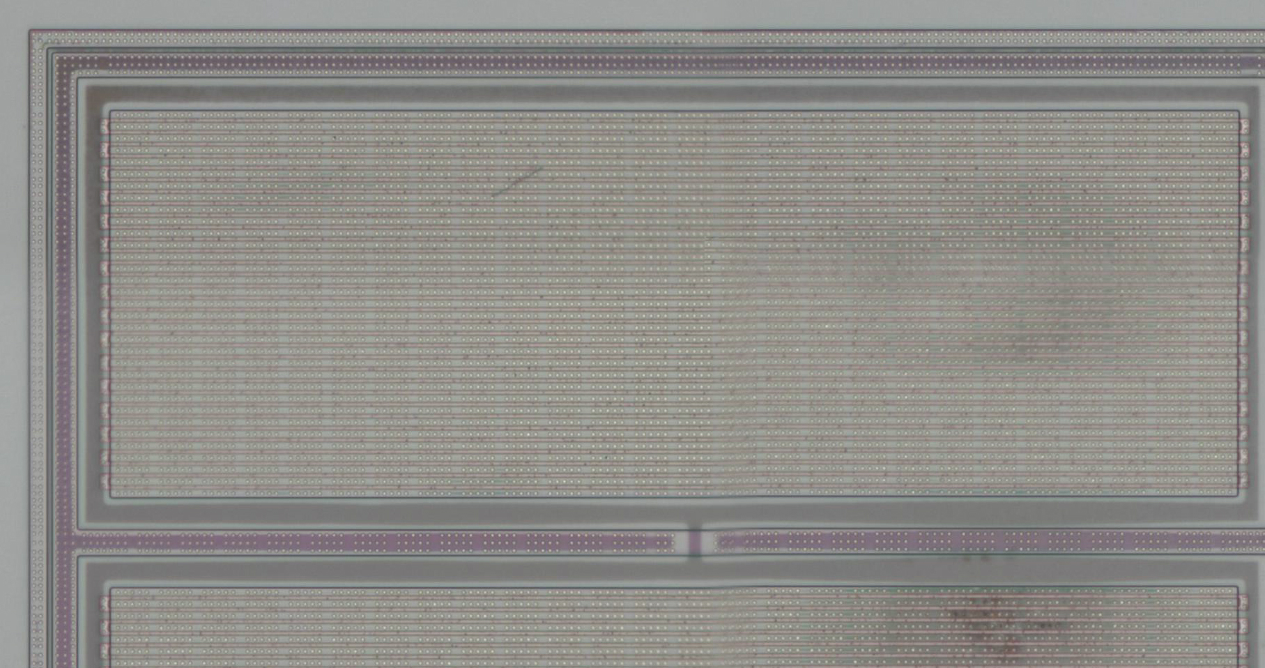 mos1.jpg